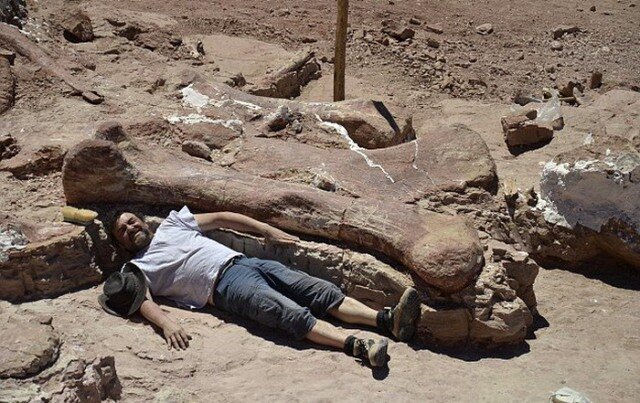 اكتشاف أضخم كائن عاش على الأرض عبر التاريخ … شاهد الصور اكتشاف أضخم كائن عاش على الأرض عبر التاريخ … شاهد الصور